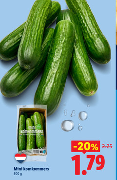  snackkomkommer 500 mini hollandse komkommers 