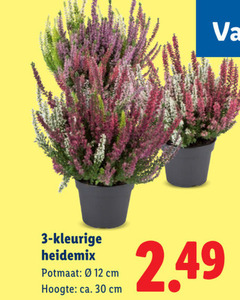  tuinplanten 3 12 30 kleurige potmaat cm hoogte ca. 