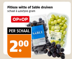  druiven pitloze witte sable schaal 400 500 2 