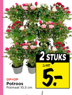  potroos 2 potmaat 10 5 cm stuks 