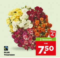  rozen 2 fairtrade trosrozen bossen mix 