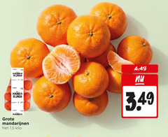  mandarijnen jumbo manda 15kg 1 5kg 5 kilo 