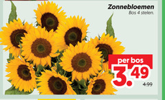 klik op dit plaatje voor een vergroting en voor vergelijkbare aanbiedingen gerelateerd aan
zonnebloemen 4 bos stelen zonnebloemen 4 bos stelen