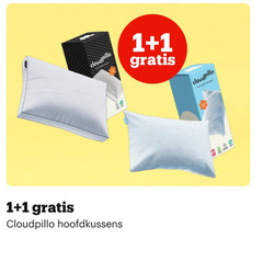  hoofdkussen 1 hoofdkussens 