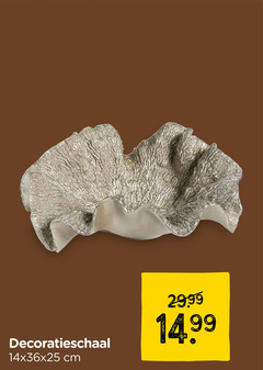  schaal decoratieschaal cm 