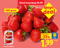  aardbeien 400 maandag mega deal hollandse bodem 