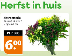  10 60 600 herfst huis alstroemeria bos stelen lengte cm 