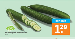  komkommer bio biologisch stuk 