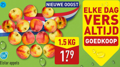  elstar appelen nieuwe oogst dag vers to planet proof appels 