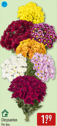  chrysanten bos 