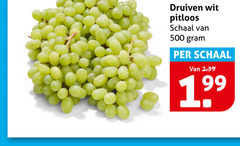  druiven 500 wit pitloos schaal 