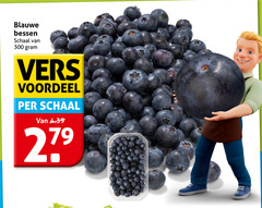  blauwe bessen 279 300 schaal vers voordeel 
