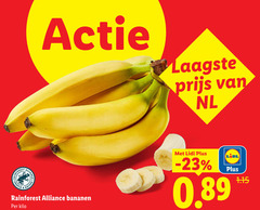  33 people nl rainforest bananen kilo 