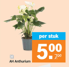 klik op dit plaatje voor een vergroting en voor vergelijkbare aanbiedingen gerelateerd aan
5000 anthurium stuk 5000 anthurium stuk