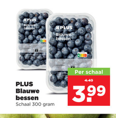  blauwe bessen 300 schaal 3 99 