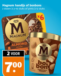  magnum ijslollies ijsspecialiteit 2 6 12 handijs bonbons dozen stuks pints almond bon gold caramel billionaire 