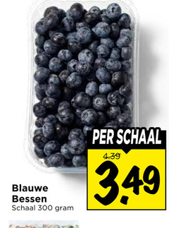  blauwe bessen 300 schaal 