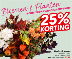  1 25 bloemen planten kwekers herfstbloemen soorten 5.99 bos sneeuwbes 