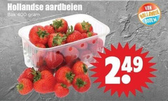  aardbeien 400 hollandse bak bodem 