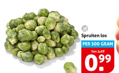klik op dit plaatje voor een vergroting en voor vergelijkbare aanbiedingen gerelateerd aan
spruitjes 500 spruiten spruitjes 500 spruiten