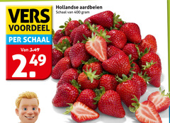  aardbeien 400 vers voordeel schaal hollandse 