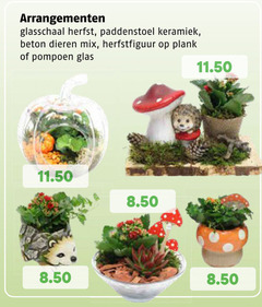  herfstdecoratie arrangementen glasschaal herfst paddenstoel keramiek beton dieren mix herfstfiguur plank pompoen glas 
