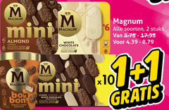  magnum ijslollies 1 2 6 101 mini almond grown cocoa almonds stick white chocolate chocolat blanc bon salted caramel classic soorten stuks 