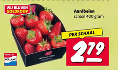  aardbeien 4 8 279 400 schaal holland healthy goods 