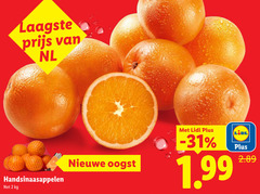  handsinaasappelen 2 nl nieuwe oogst 