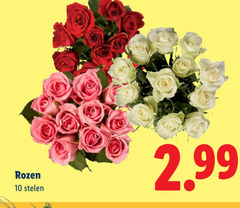  10 rozen stelen 